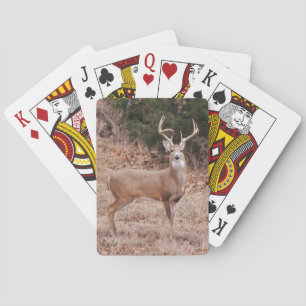 Großer wilder Hirsch mit großen Geweihen Texas-Hir Spielkarten