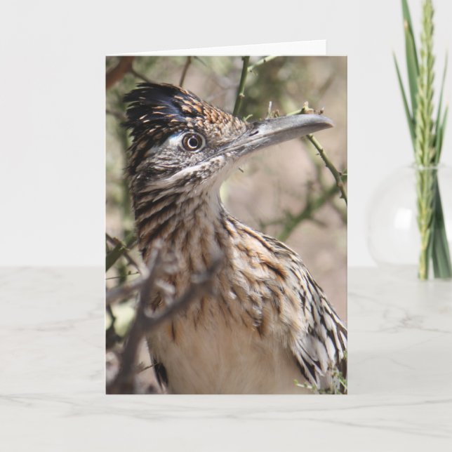 Größere Roadrunner-Gruß-Karte Karte (Vorderseite)