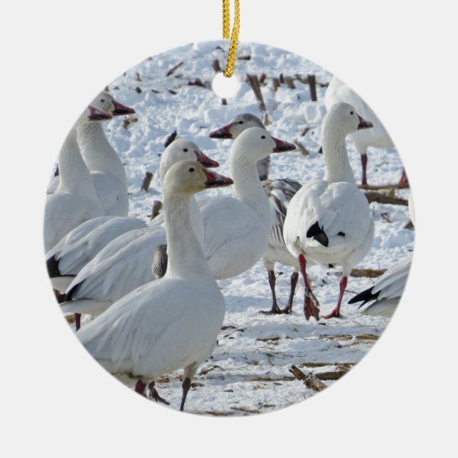 Größere Schnee-Gänse im Getreidefeld (Winter) Keramik Ornament (Vorne)