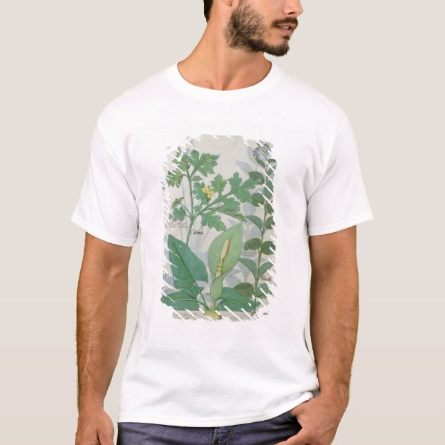 Größerer Celandine oder Mohnblume T-Shirt (Vorderseite)