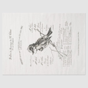 Größeres französisches Musiksalon Bird Script Pape Seidenpapier