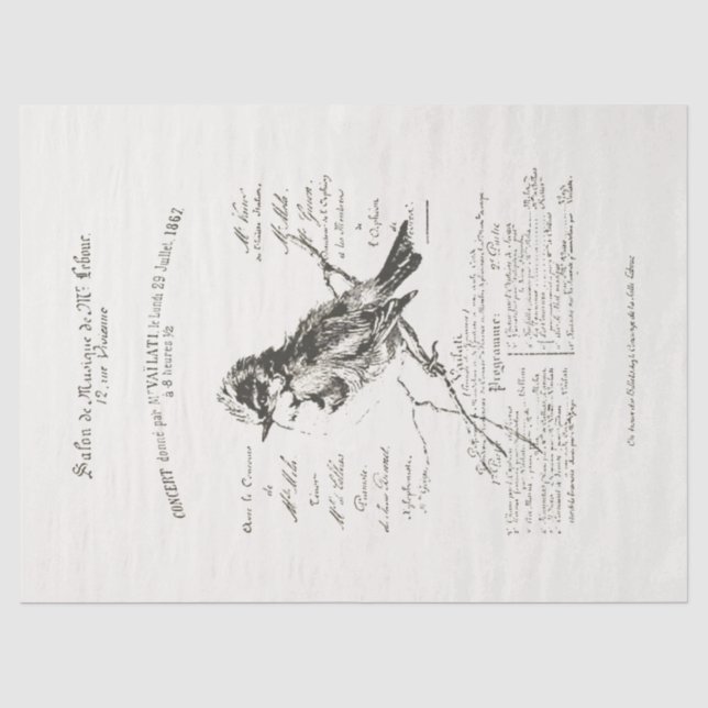 Größeres französisches Musiksalon Bird Script Pape Seidenpapier (Vorderseite)