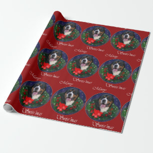 Größeres Schweizer Gebirgshundeweihnachten Geschenkpapier