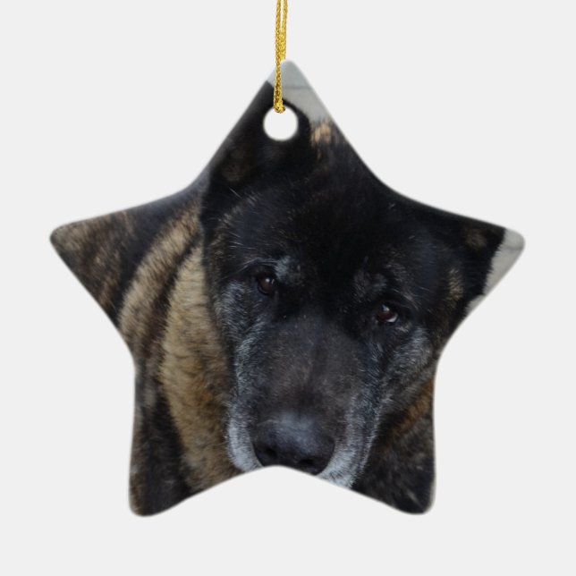 Großes Akita Keramikornament (Vorne)