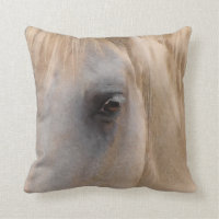 Großes Auge eines Weißen Horses