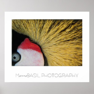 Großes Augenplakat! Poster