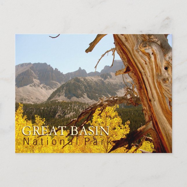 Großes Becken-Nationalpark Postkarte (Vorderseite)