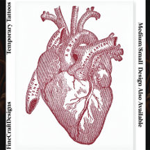 Großes beschriftetes vintage anatomisches Herz, Ro