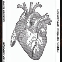 Großes beschriftetes vintage anatomisches Herz, Sc