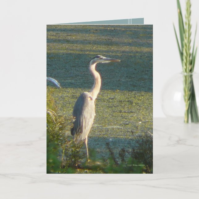 Großes Blau Karte (Vorderseite)