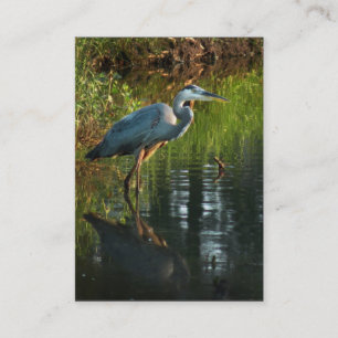 Großes Blau-Reiher ATC-Foto-Karte 2 Visitenkarte