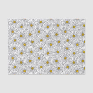 Grosses Daisy 10lb Gewebepapier, weiß Seidenpapier