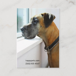 Großes Dane Ausblick aus Fenster Hund Walker "Migh Visitenkarte