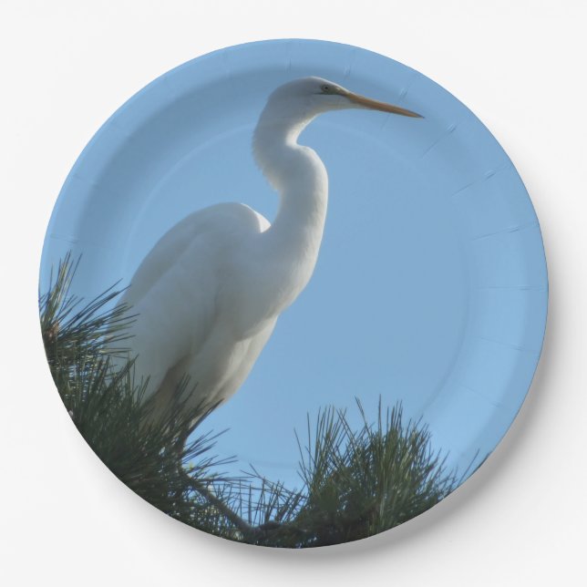 Großes Egret in Sunny Florida Pappteller (Vorderseite)