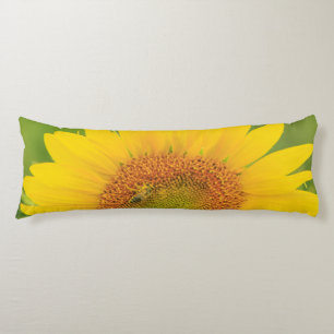 Großes Feld der Sonnenblumen nähern sich Moses Seitenschläferkissen