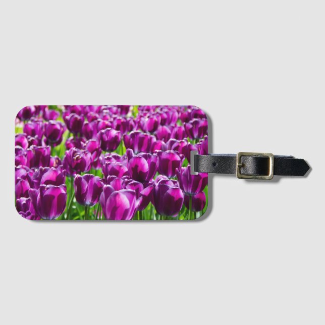 Grosses Feld lila Tulpen Gepäckanhänger (Vorderseite (Horizontal))