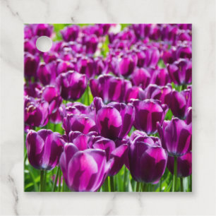 Grosses Feld lila Tulpen Geschenkanhänger
