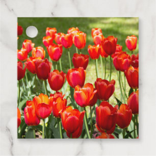 Grosses Feld roter Tulpen Geschenkanhänger