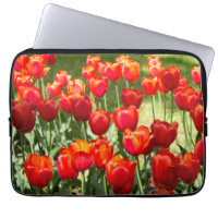 Grosses Feld roter Tulpen