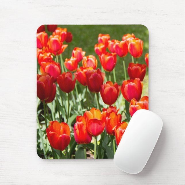 Grosses Feld roter Tulpen Mousepad (Mit Mouse)