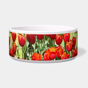 Grosses Feld roter Tulpen Napf