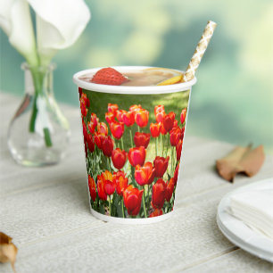 Grosses Feld roter Tulpen Pappbecher