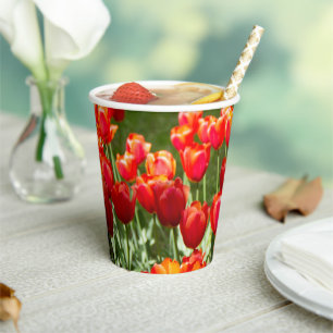 Grosses Feld roter Tulpen Pappbecher