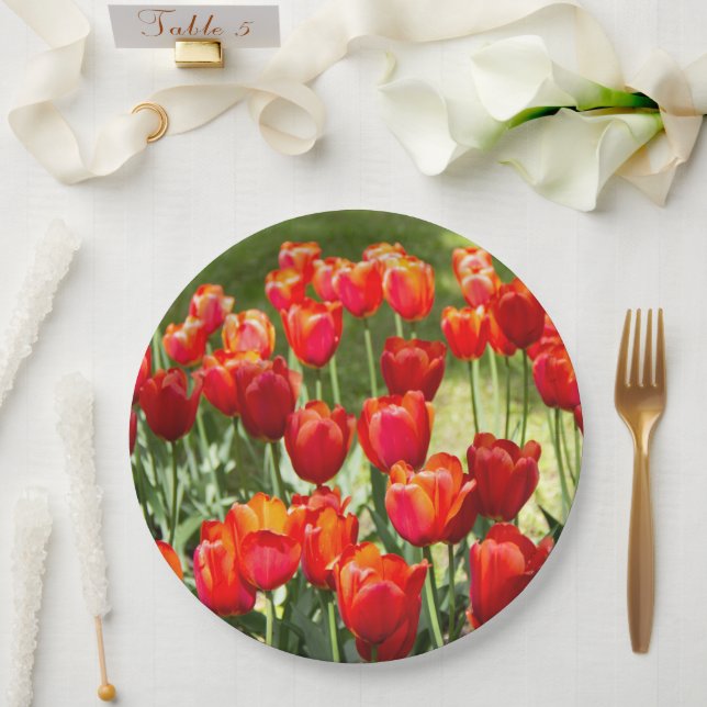 Grosses Feld roter Tulpen Pappteller (Hochzeit)
