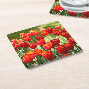 Grosses Feld roter Tulpen Rechteckiger Pappuntersetzer