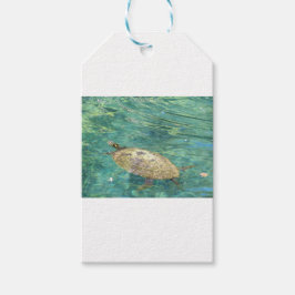 Großes Flussschildkrötenschwimmen Geschenkanhänger