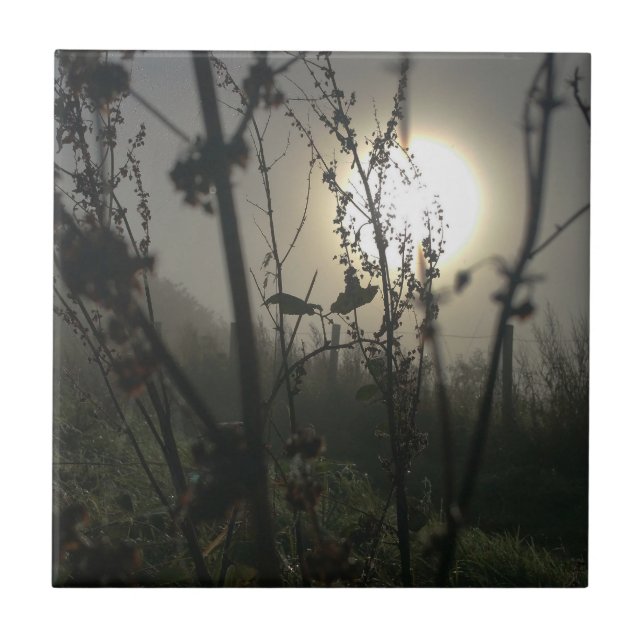 Großes Foto Fliese (Vorderseite)