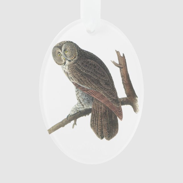 Großes Grau-Eule durch Audubon Ornament (Vorderseite)