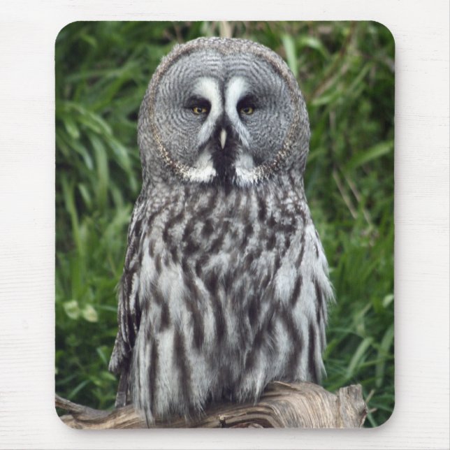 Großes Grau-Eule Mousepad (Vorne)