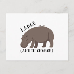 Grosses Hippo Postkarte