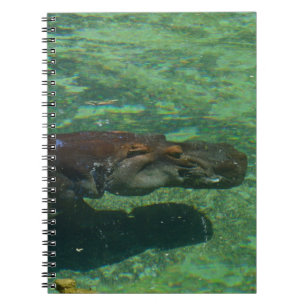 großes Hippo-Schwimmen unter Wasser, Notizblock