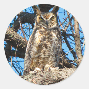 Großes Horned Owl-Foto Runder Aufkleber
