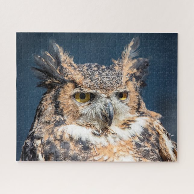 Großes Horned Owl Portrait (Horizontal)