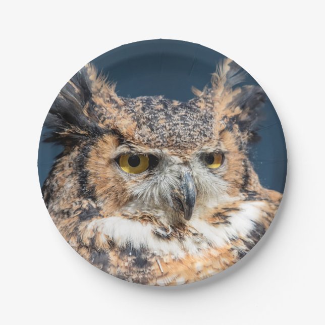 Großes Horned Owl Portrait Pappteller (Vorderseite)