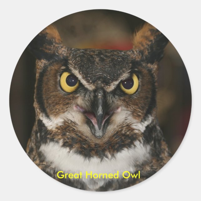 Großes Horned Owl Stickers (Vorderseite)