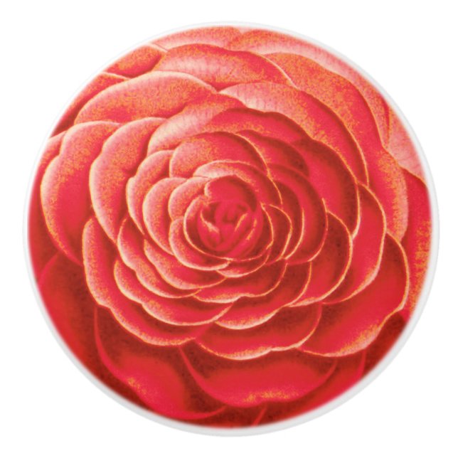 Grosses Kamelien-Blossom, Korallenorange Keramikknauf (Vorderseite)