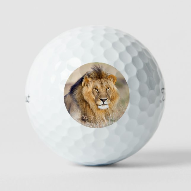 Grosses, majestätisches Foto wild lebender Tiere Golfball (Vorderseite)