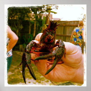 Großes Panzerkrebs-Foto-Plakat Poster