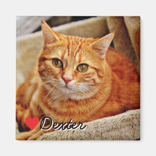 Großes personalisiertes Haustierfoto Magnet