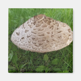 Grosses Pilz im Gras-Foto Magnet