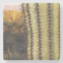 Grosses Saguaro Cactus, Arizona, Untersetzer aus N