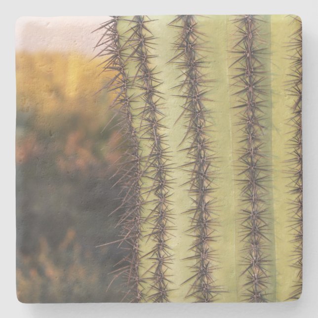 Grosses Saguaro Cactus, Arizona, Untersetzer aus N (Vorderseite)