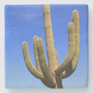 Grosses Saguaro Cactus, Arizona, Untersetzer aus N