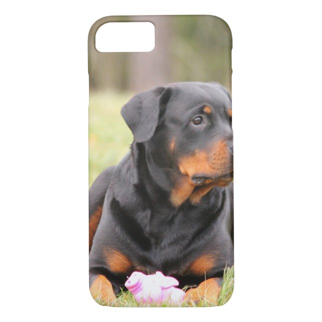 Großes schönes Rottweiler Case-Mate iPhone Hülle (Rückseite)