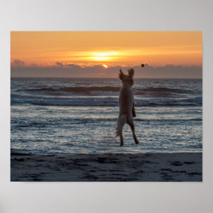 "Großes" Strand-Sonnenuntergang-lebhaftplakat (14" Poster