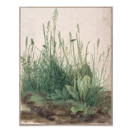 Grosses Stück Turf von Albrecht Durer Fotodruck
